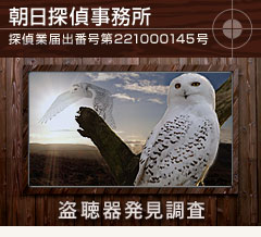 main_title