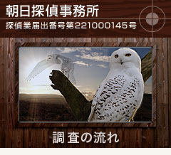 main_title