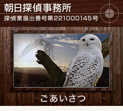 main_title
