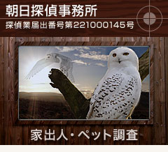 main_title